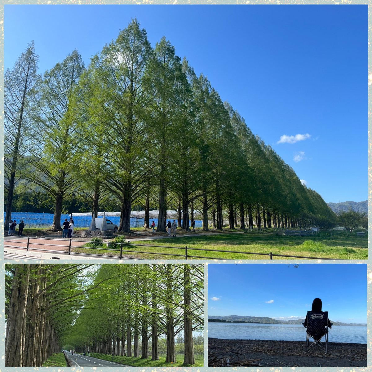 ma−san☆ tweet media