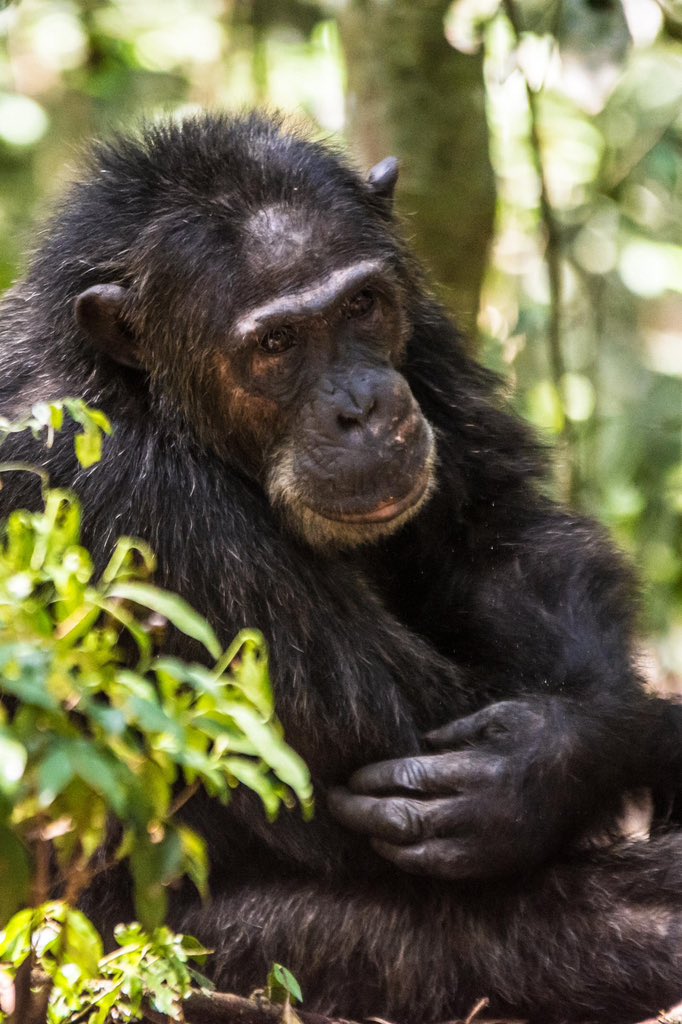 Nakitende Aisha tweet media