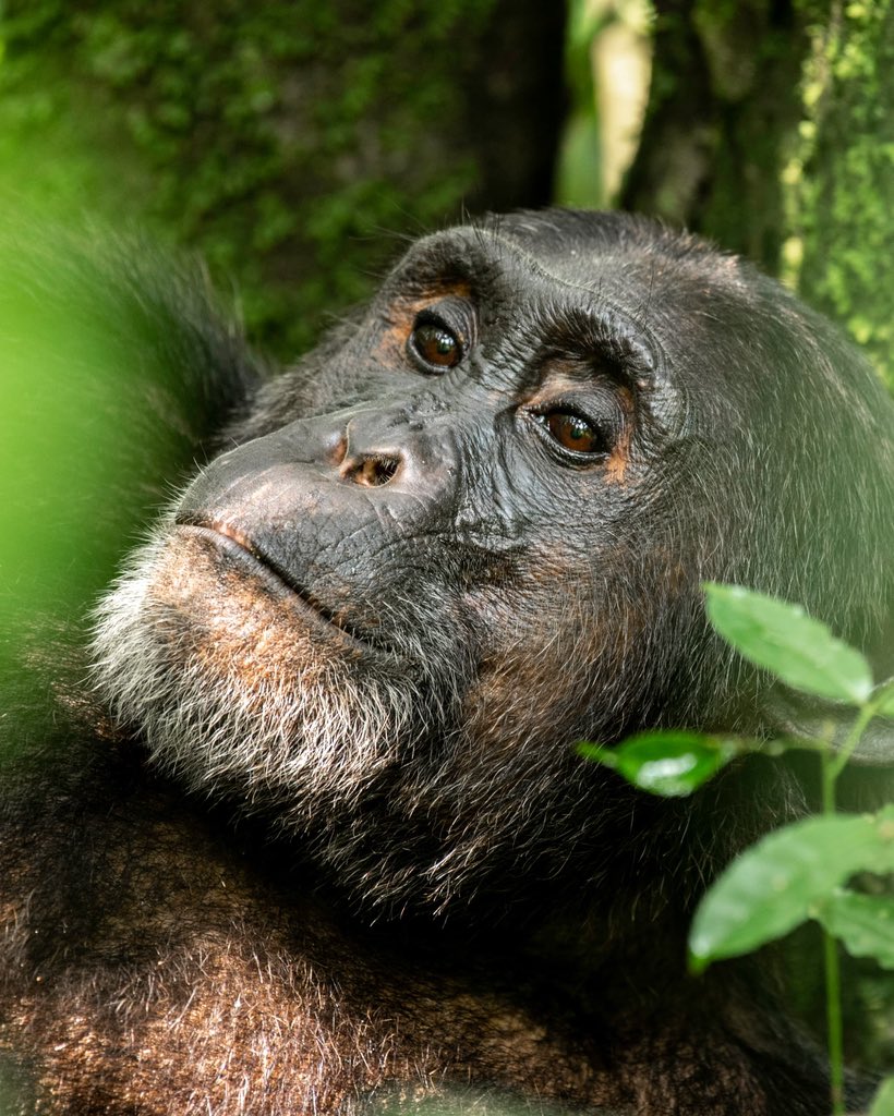 Nakitende Aisha tweet media