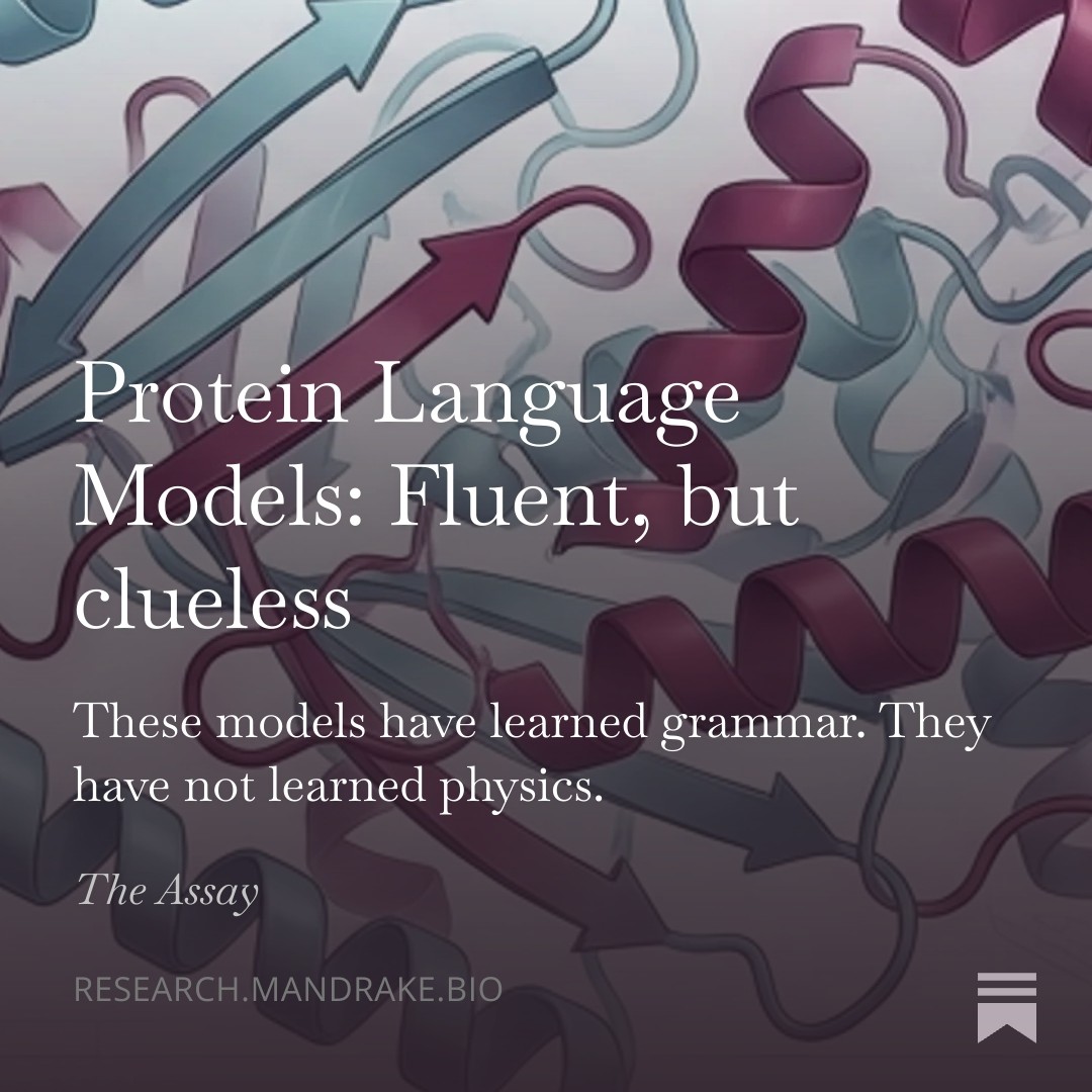 Tanay Lohia tweet media