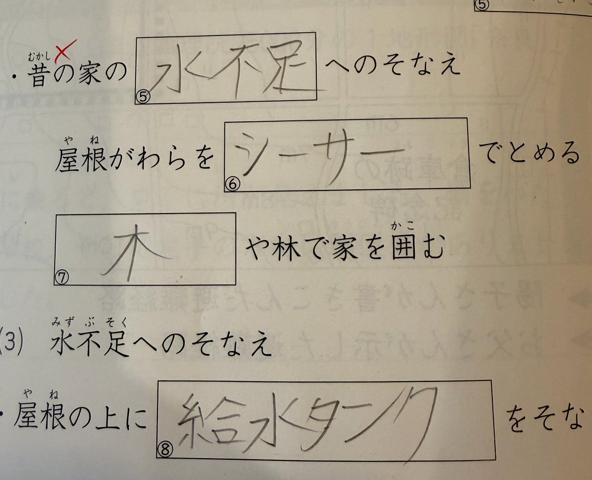 長女のシーサーへの過信。