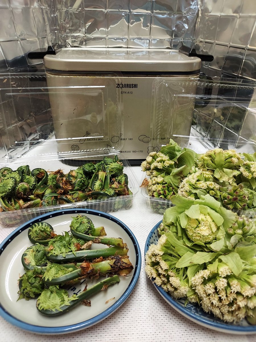 トシテック　TOSH-TEC　assy tweet media