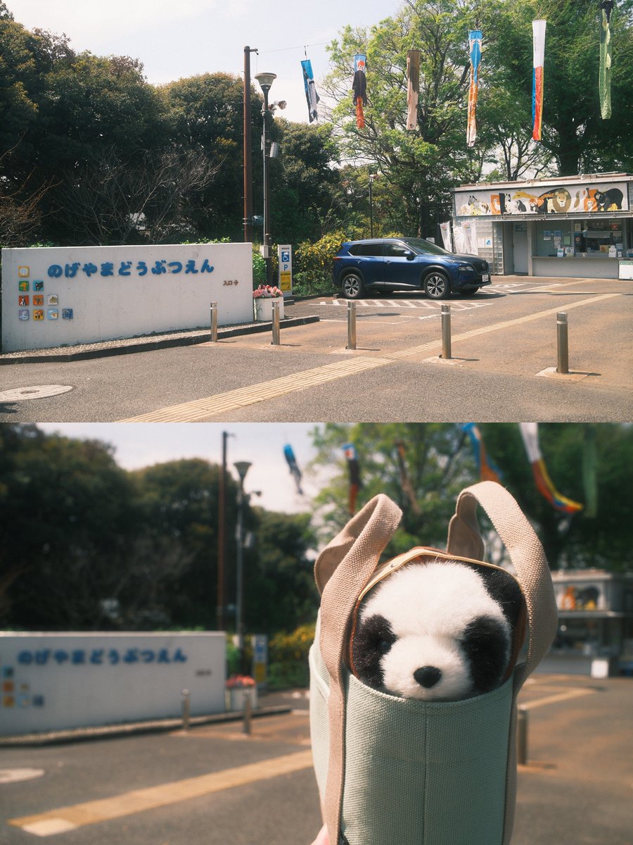 ふともも手帖 tweet media