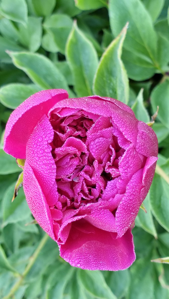 Dakota Meyer tweet media