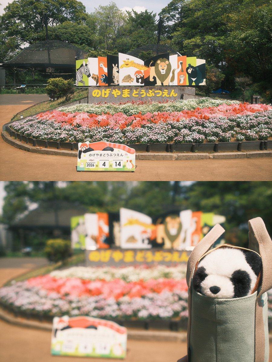 ふともも手帖 tweet media