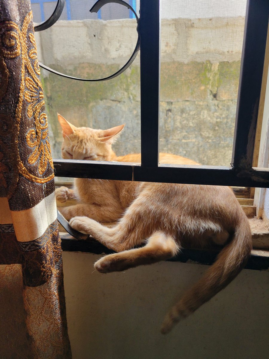 Abdul Azeez tweet media