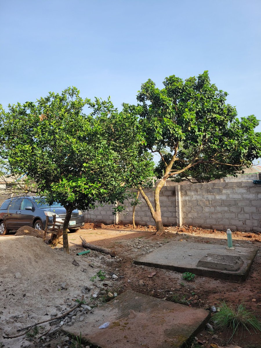 Abdul Azeez tweet media