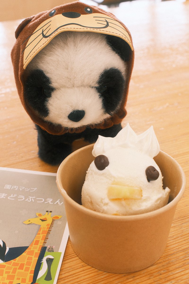 ふともも手帖 tweet media