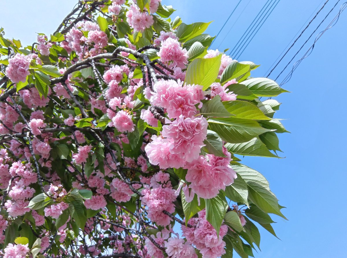 都立赤塚公園 tweet media