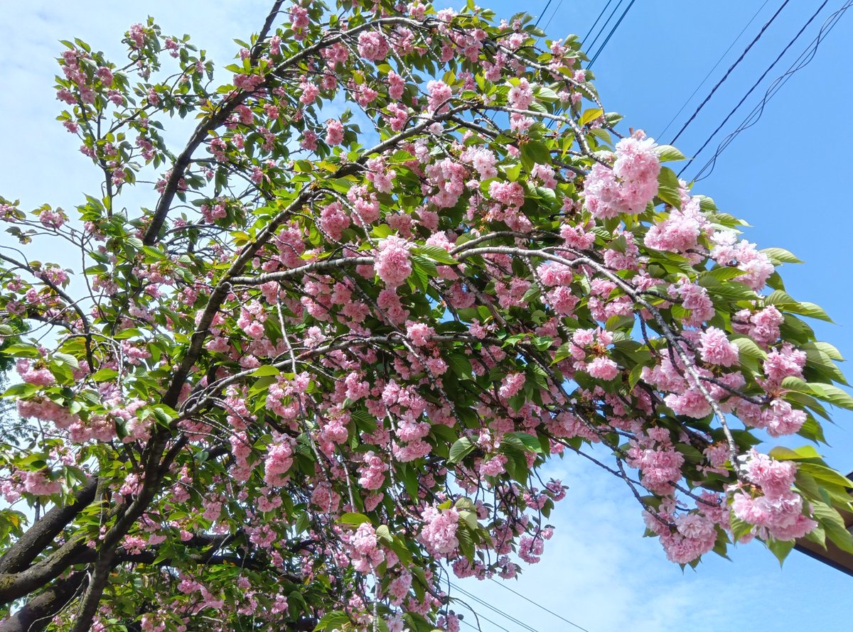 都立赤塚公園 tweet media