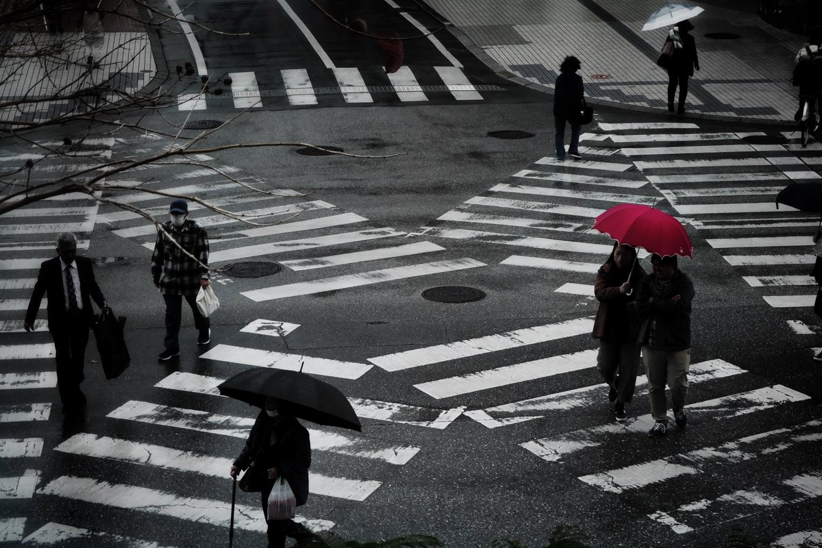 白狐/shiroco tweet media