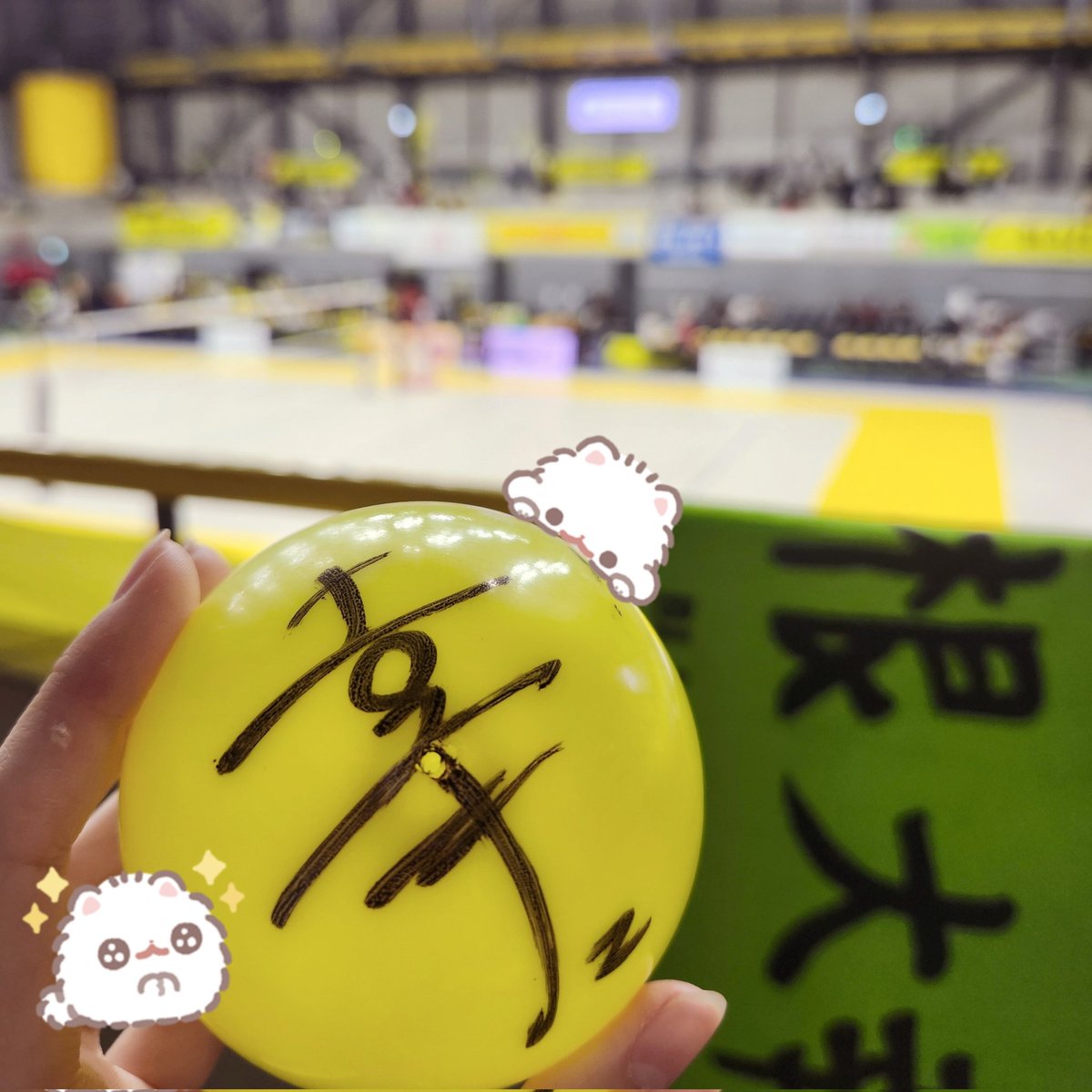 愛怜奈 tweet media