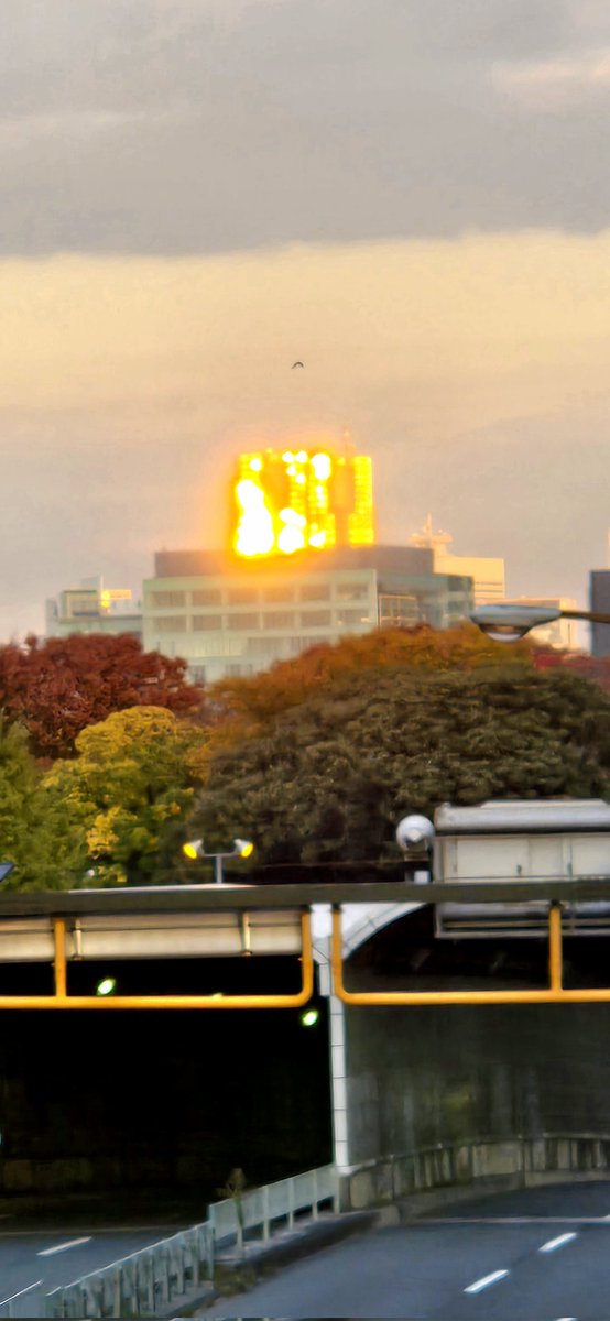 URbUm0vq858jLUR's tweet image. #STAYGOLD
#鳥 #都庁 #朝陽