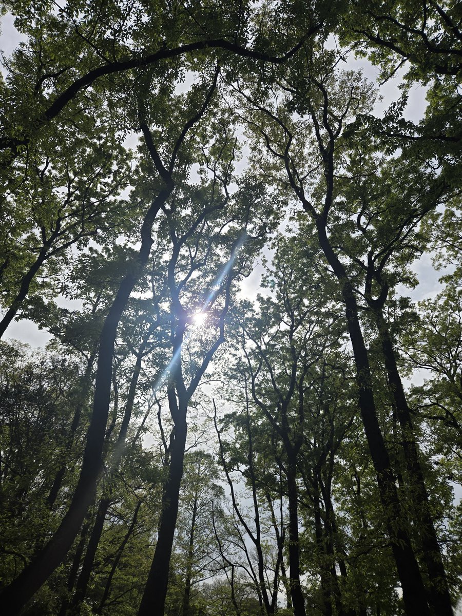 メビウス tweet media