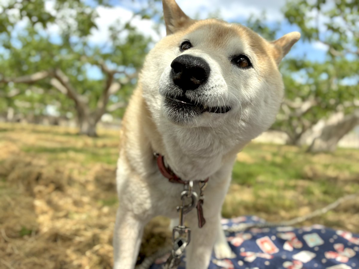 ♪