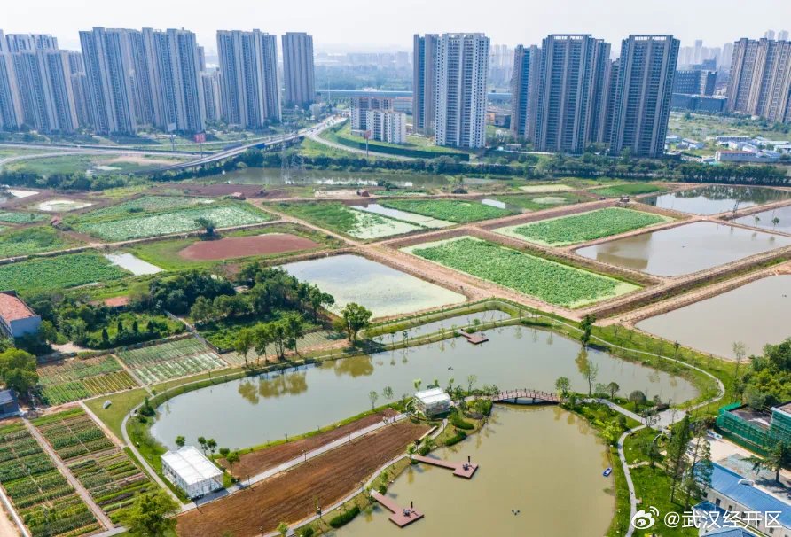 DealWatch tweet media