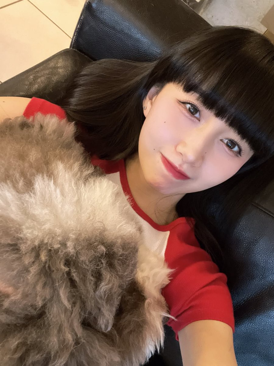 saekinatsu2's tweet image. #Repost @cocomi_553_official
えととゆったりしてます。

エトくんのお手
可愛すぎる🥰
#Cocomi ちゃんインスタより