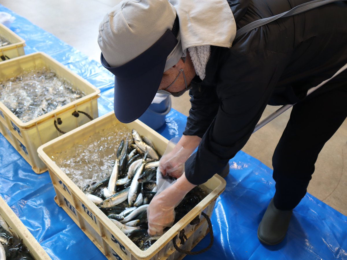 氷見漁港場外市場　ひみ番屋街 tweet media