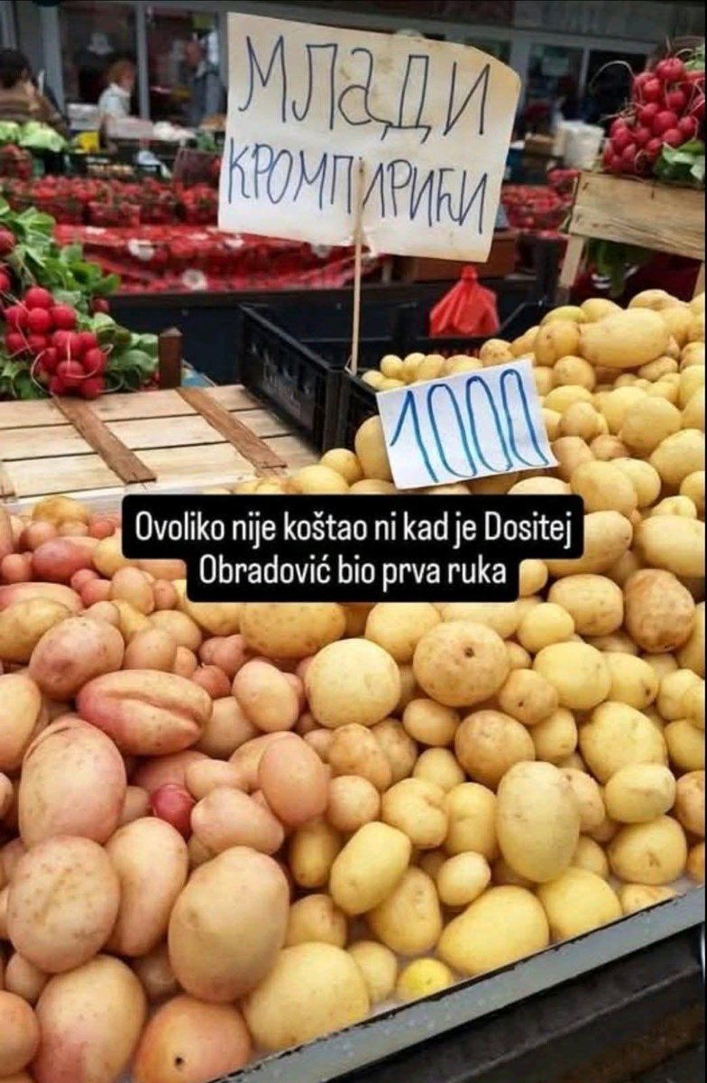 Natasa tweet media