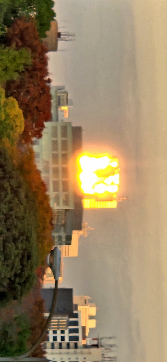 URbUm0vq858jLUR's tweet image. #都庁 #朝陽
#STAYGOLD