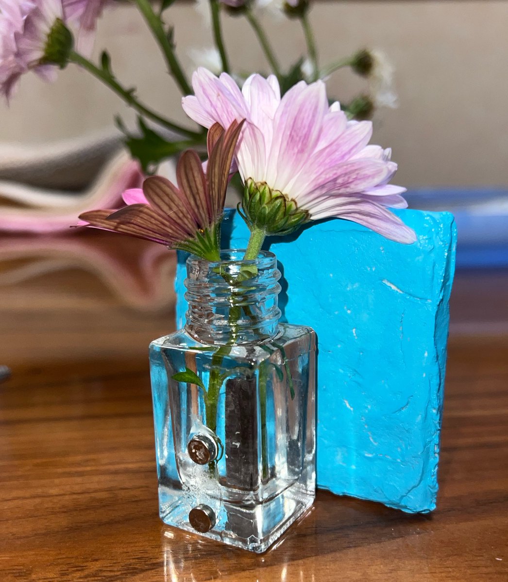 IKE-mendaisuki❤️屋根裏のPetit個展2 4/29～5/6🥰🎨 tweet media