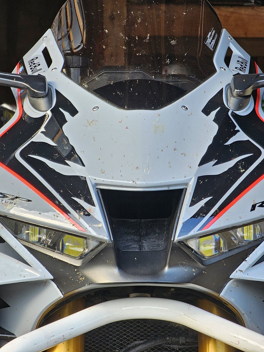 九頭竜きずか✕ tweet media