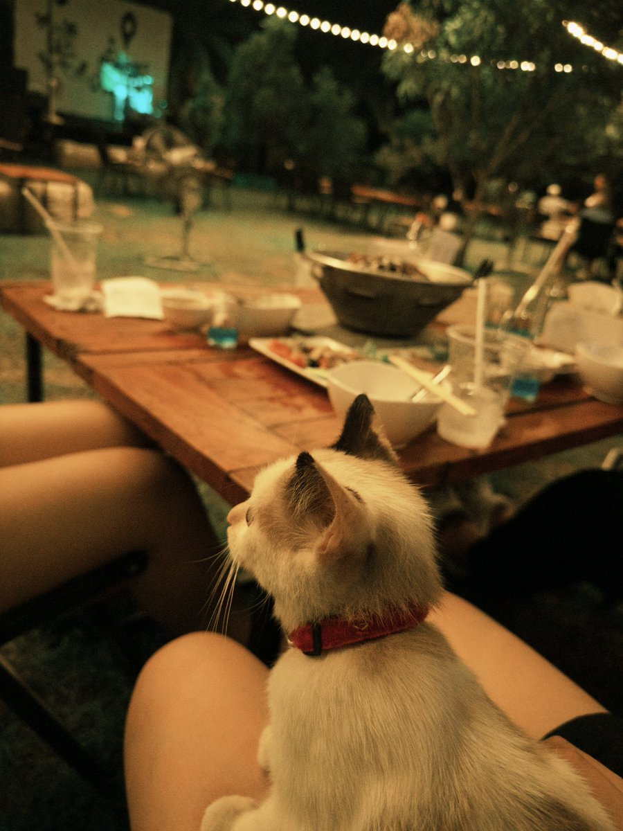 CapricornT tweet media