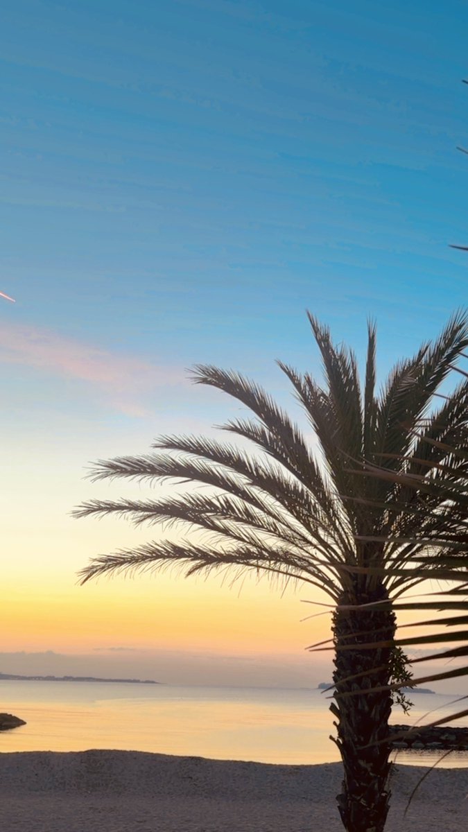 ClemCaro06's tweet image. We don’t see things as they are, we see things as we are 🩵💛 #GoodMorning #MorningLights #Saturday