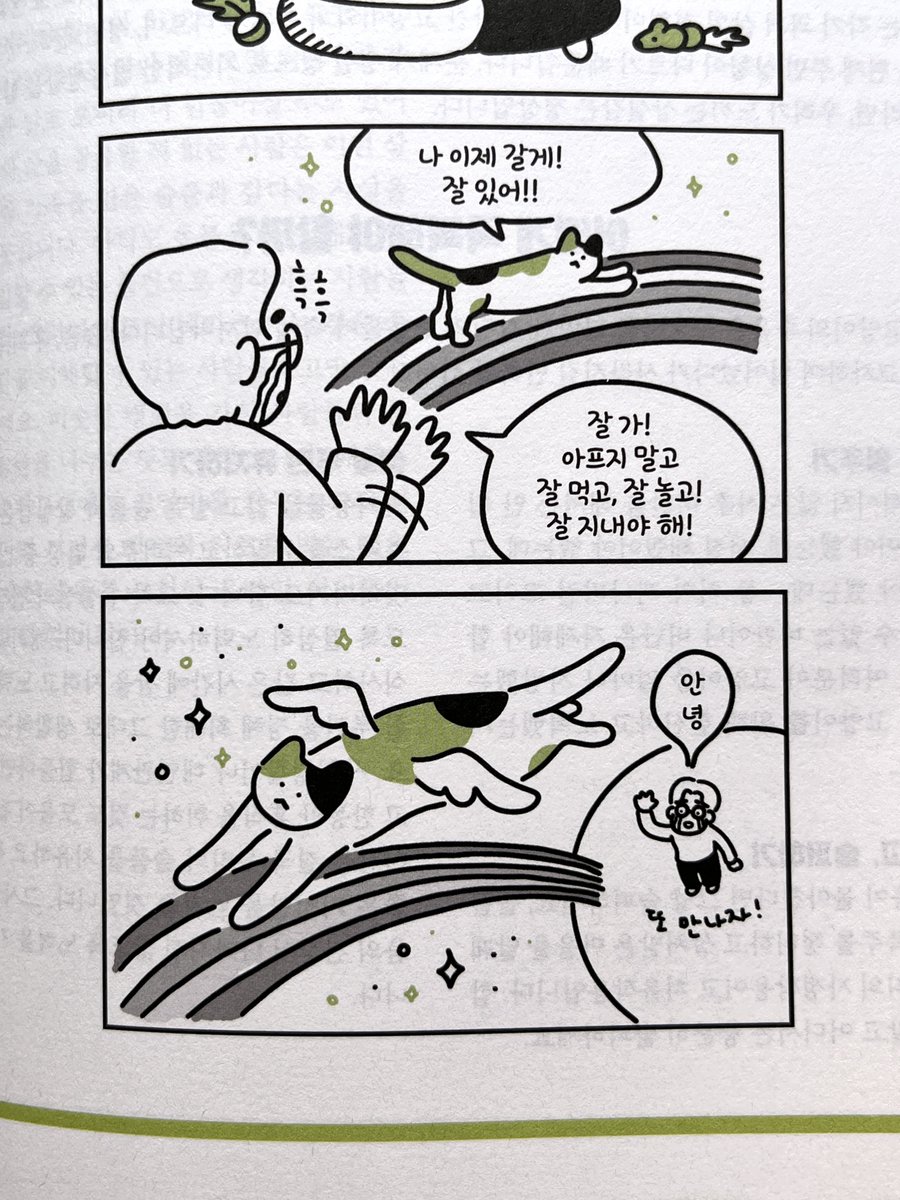 작년 10월부터 착수해서 올 3월까지 삽화 작업한 책 <윤샘의 고양이 상담소> 출간됨😻 내 피땀눈물과 손목을 갈아넣었음. 삽화를 100개가량 그렸는데 수정작업까지 치면 체감상 200개쯤 그린것 같음. 역대 삽화 참여작 중 이렇게 많은 그림을 그려보긴 처음이라 꼭 내 책 나온것처럼 기쁘다.