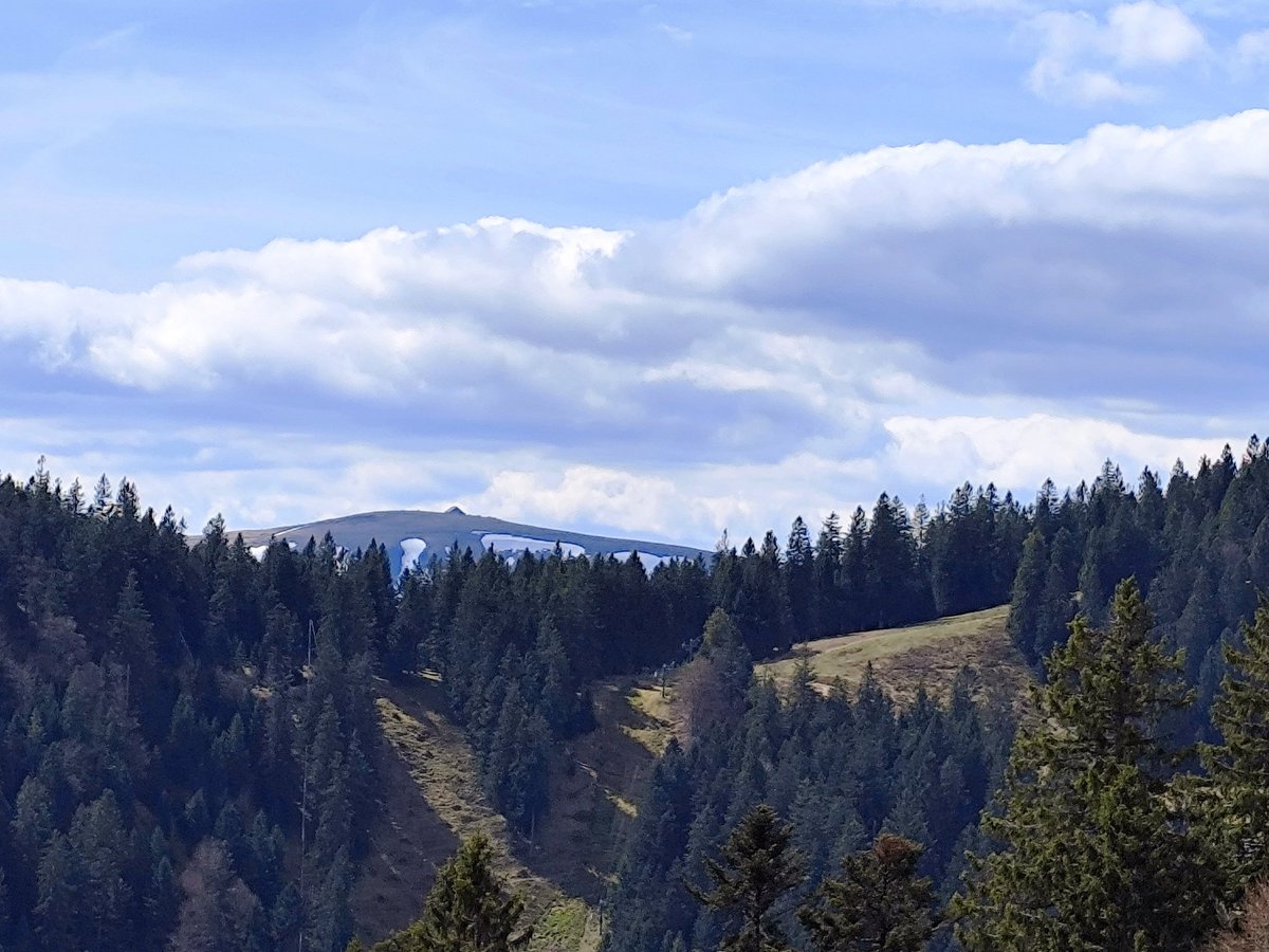 's tweet image. Le Hohneck et ses névés (La Bresse #HautesVosges) vus depuis la prairie du Gaertlesrain (#Alsace) entre Lac Vert et lac du Forlet