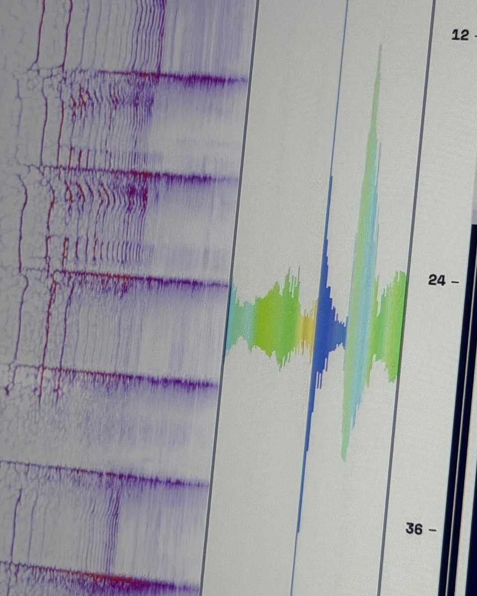 あんころ❤️🐹 tweet media