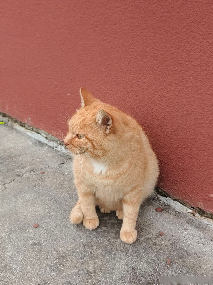 Rane Rivera tweet media