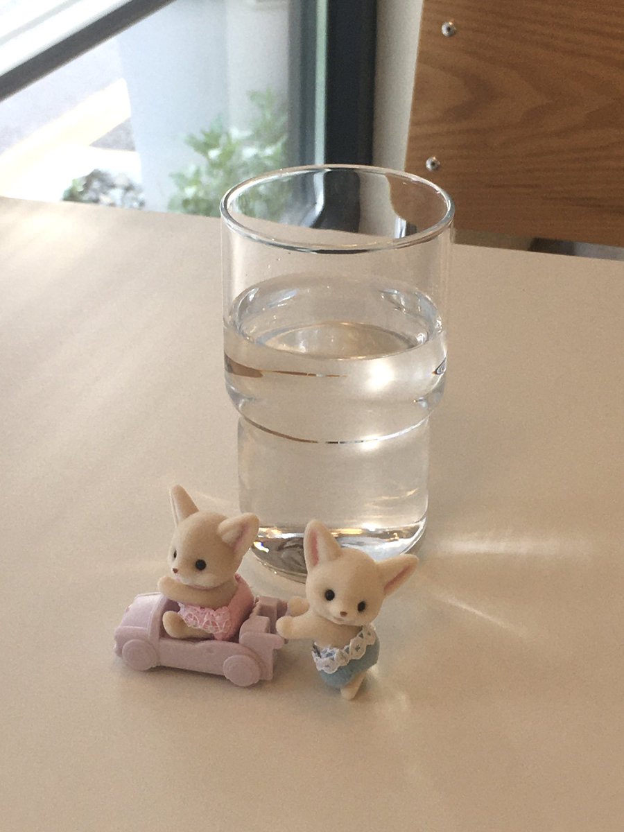 ᴋᴏᴏ tweet media