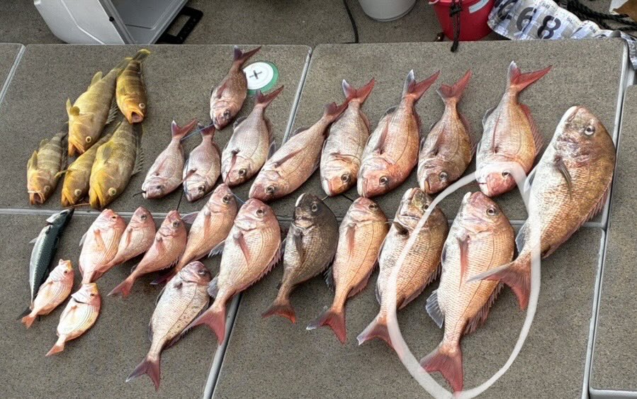 きゃんでぃ@玉屋555大橋 tweet media