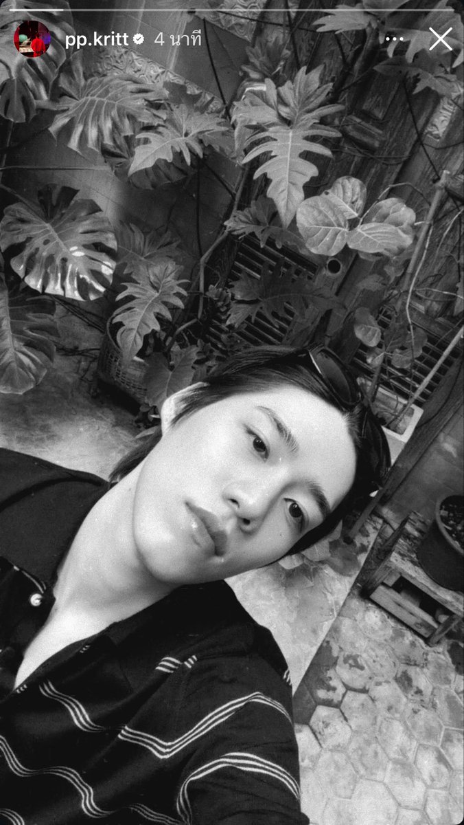 ร้อยวันพันปีไม่เคยจะอัพสตอรี่ 
พอแฟนไม่อยู่ อัพสตอรี่บอกคิดถึงแฟนเลยหรอ