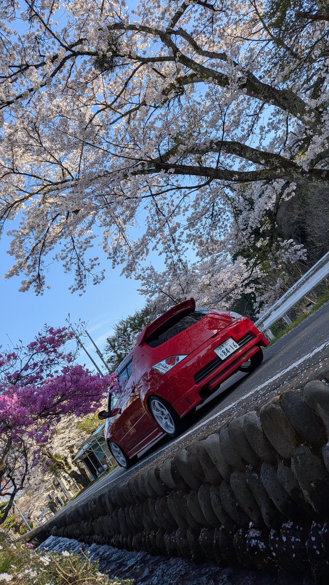 かとろ tweet media