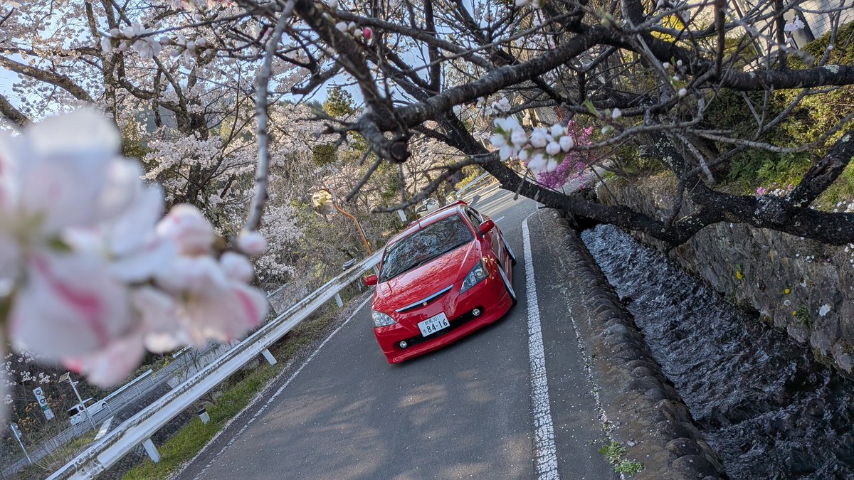 かとろ tweet media