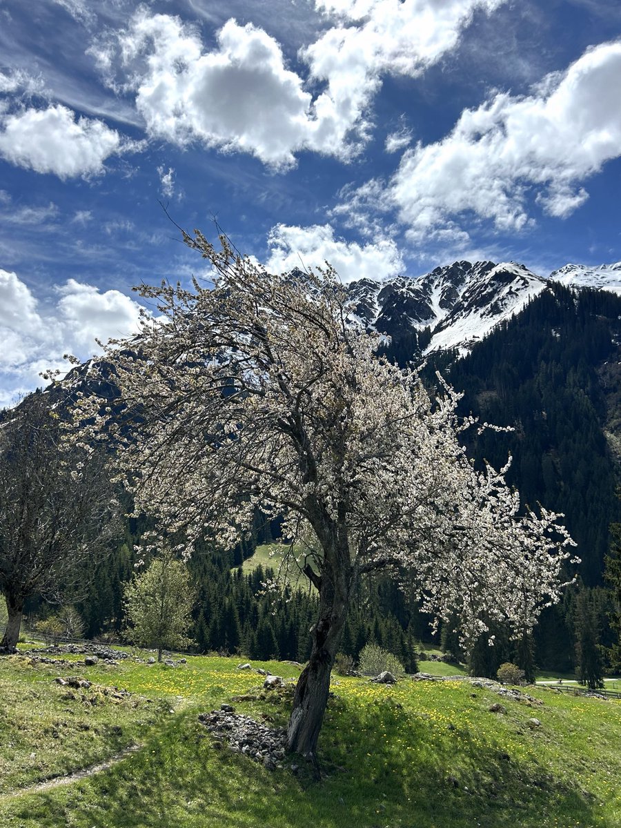 PortmannCarrick's tweet image. fresh beginnings
#spring