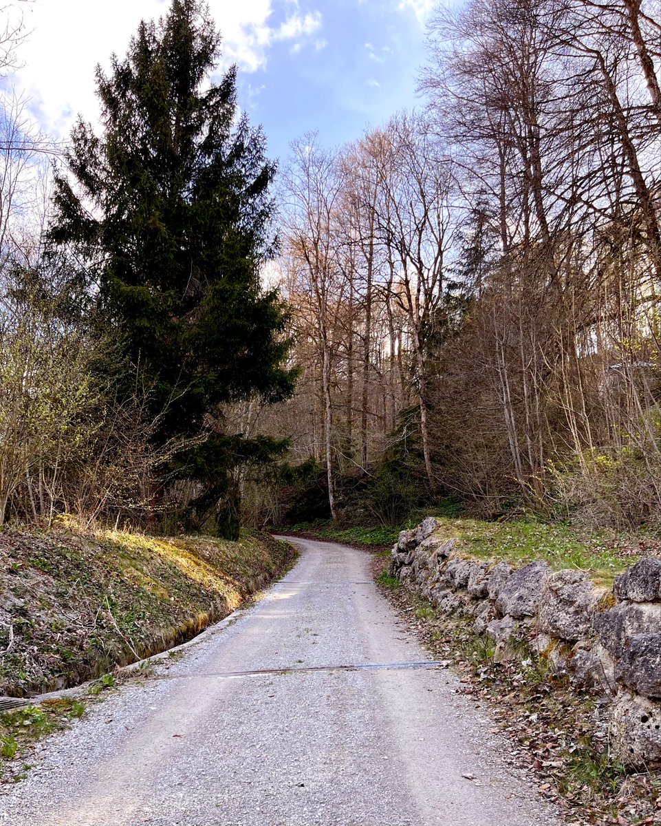 Petite Cyclist tweet media