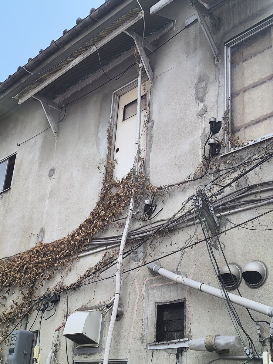 ざざはやし tweet media