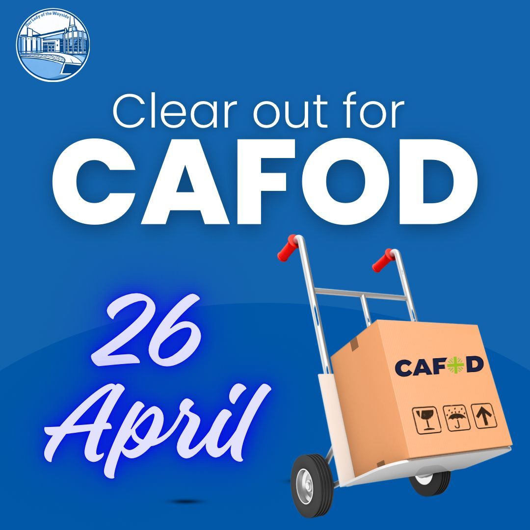 OurLadyoftheWaysideShirley tweet media