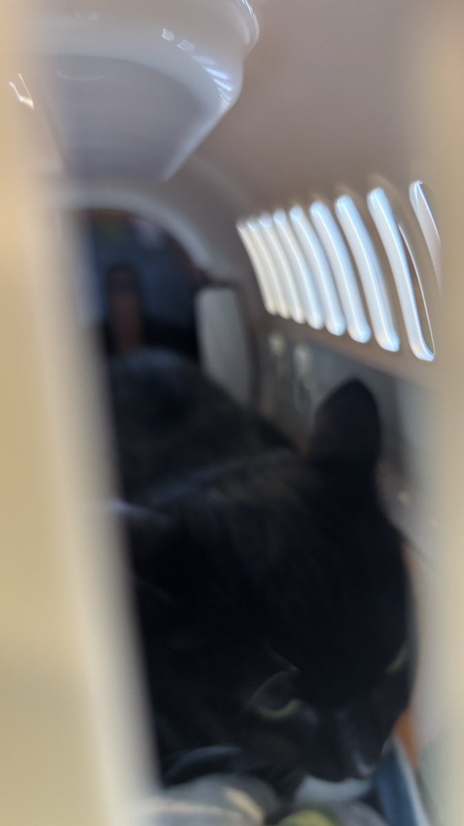 Yukitora(UO飛鳥RPG/AFA) tweet media