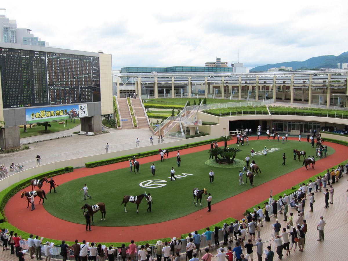 日刊ゲンダイ　競馬 tweet media