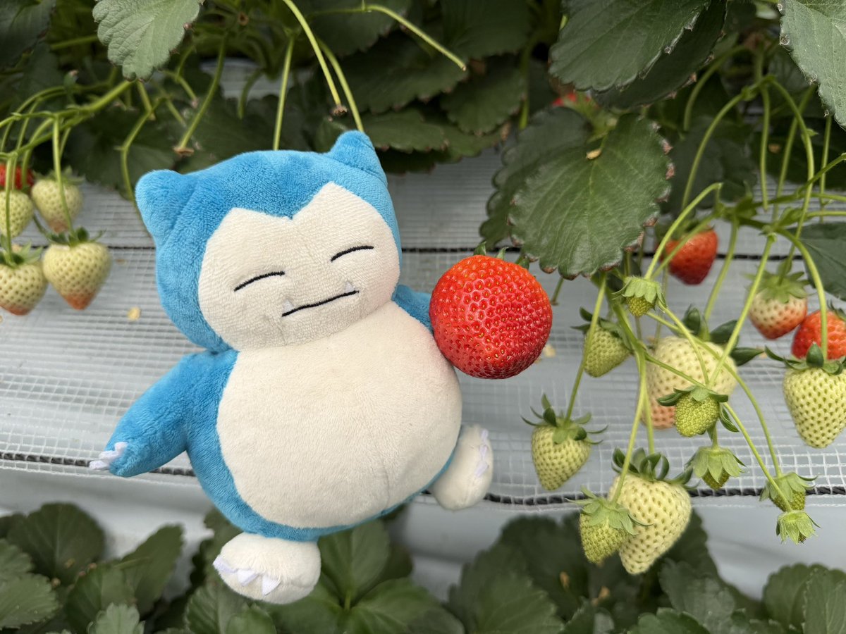 ゆう＠あげモン tweet media