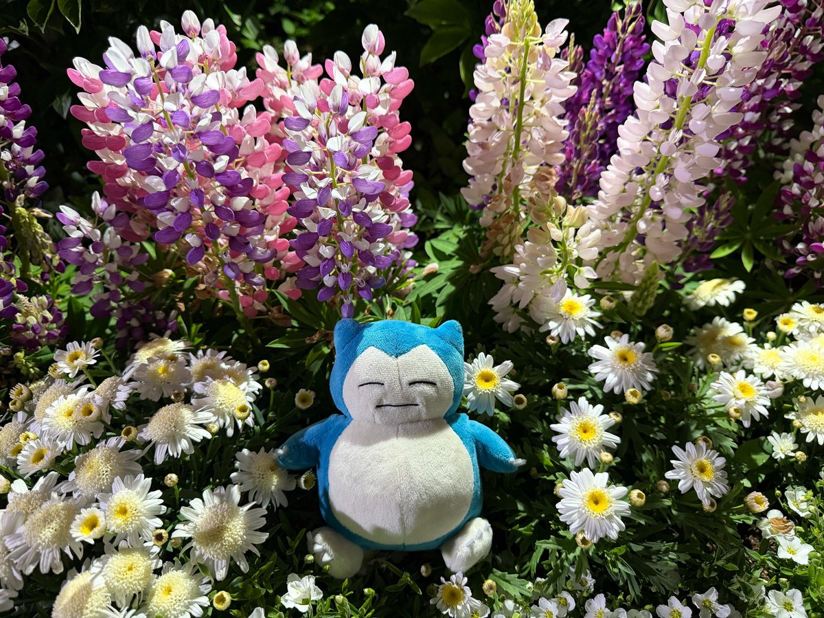 ゆう＠あげモン tweet media