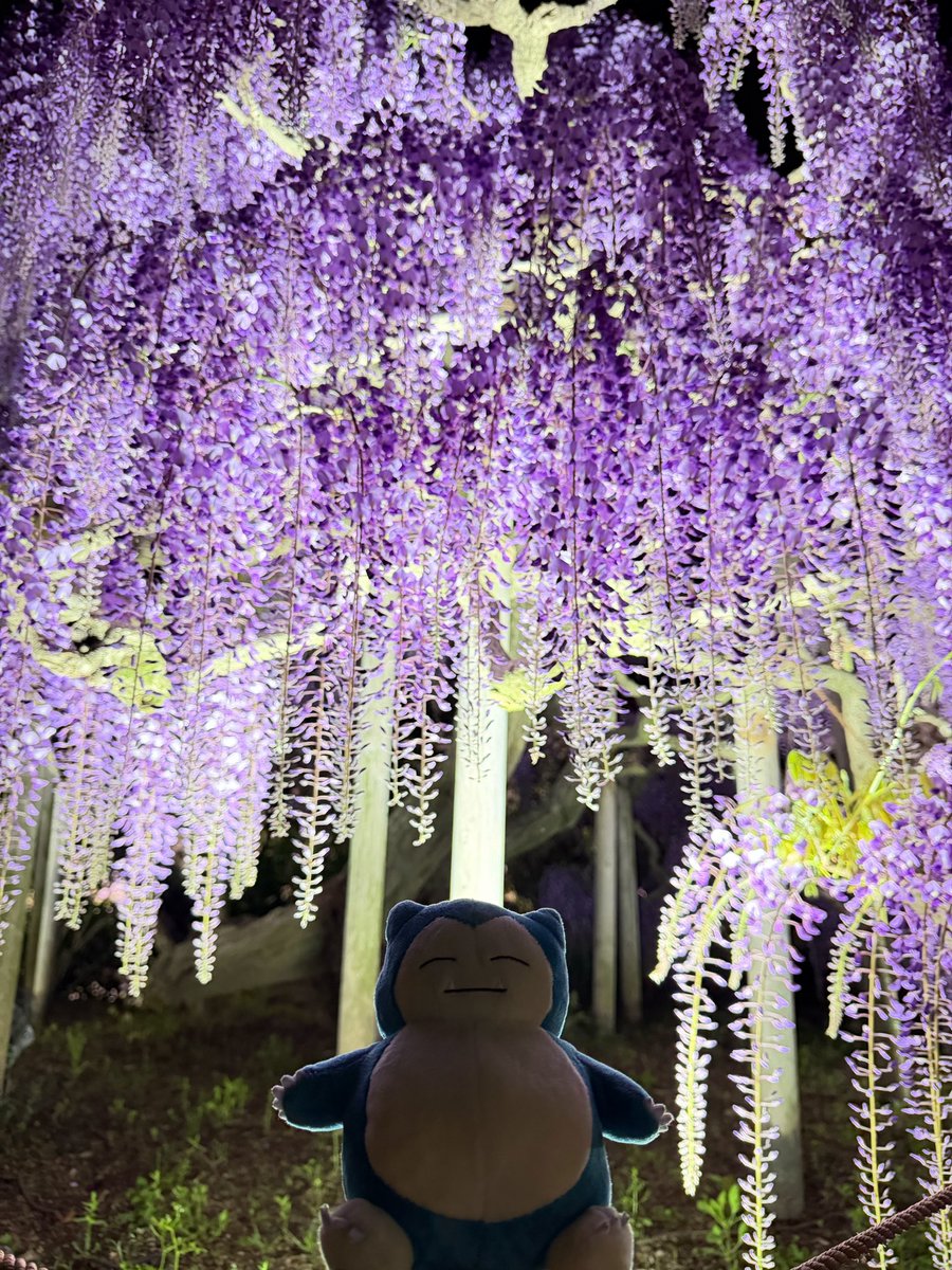 ゆう＠あげモン tweet media