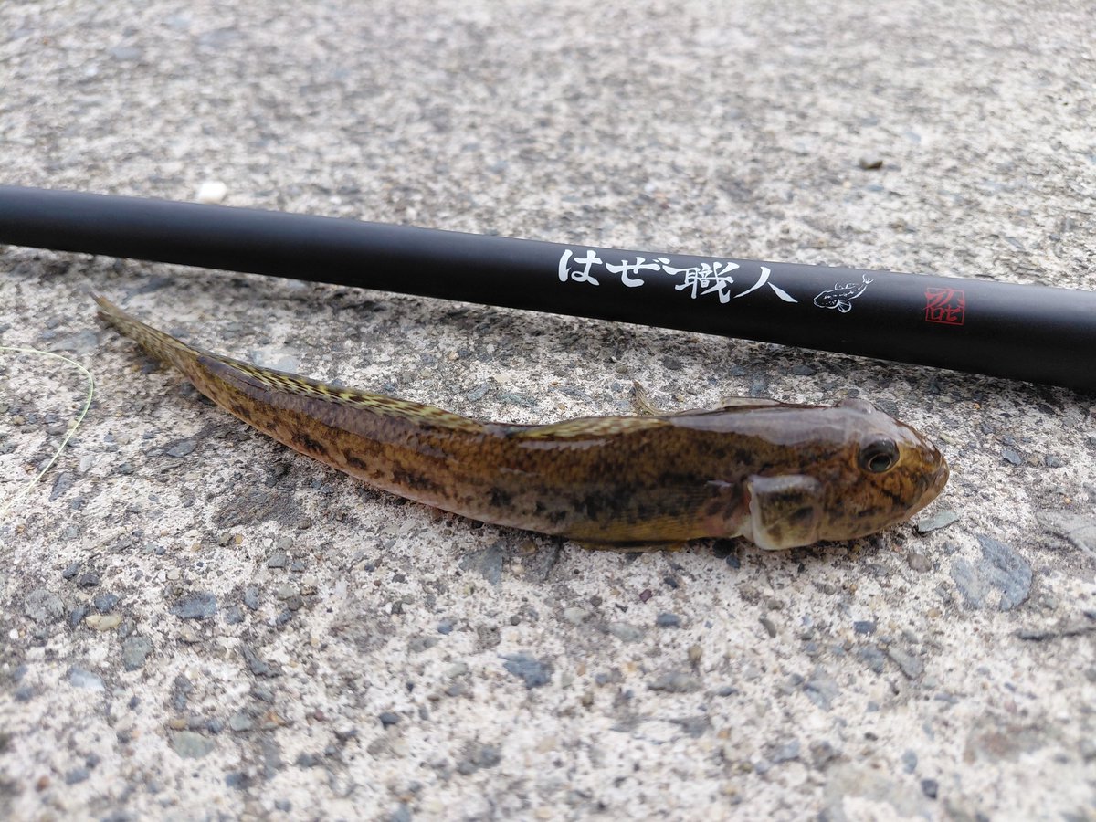 自遊人 tweet media