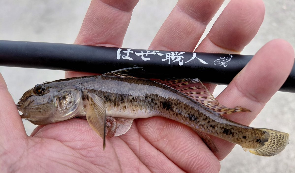 自遊人 tweet media