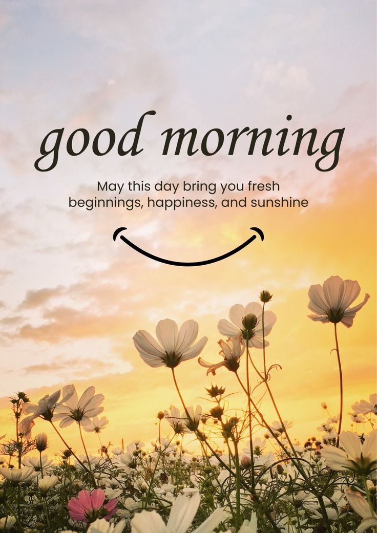 HenryMerib37173's tweet image. GM @frontend__fairy, GM @PyBerryTech , GM @dev_olayinka,  GM everyone 

#weekend #morning