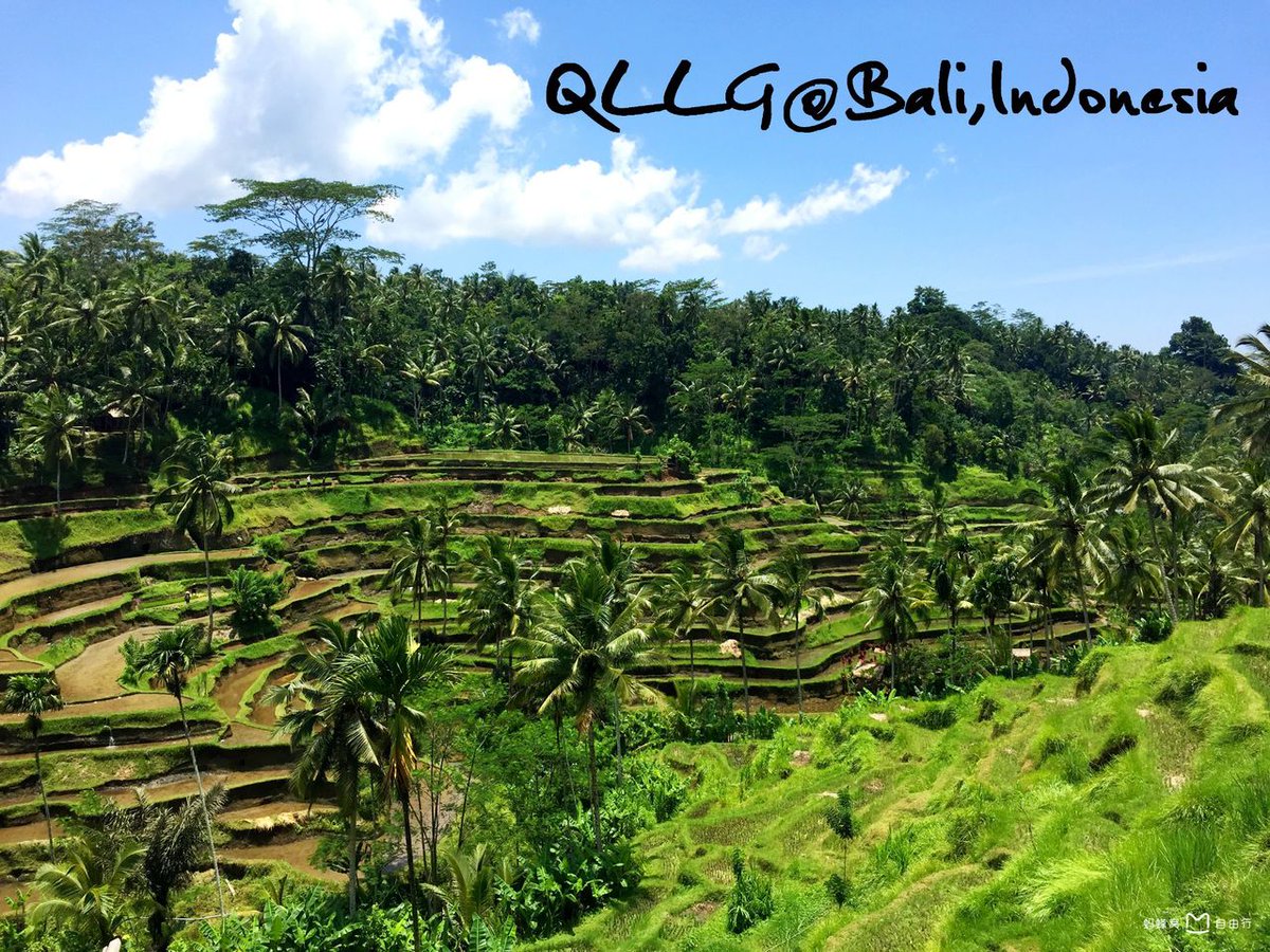 magnum_57's tweet image. Chasing sunsets over rice terraces in Ubud  Hiked 3km at golden hour—every step felt like stepping into a painting. The way light painted the hills pink Pure magic. #BaliVibes #Wanderlust #RiceTerraceMagic